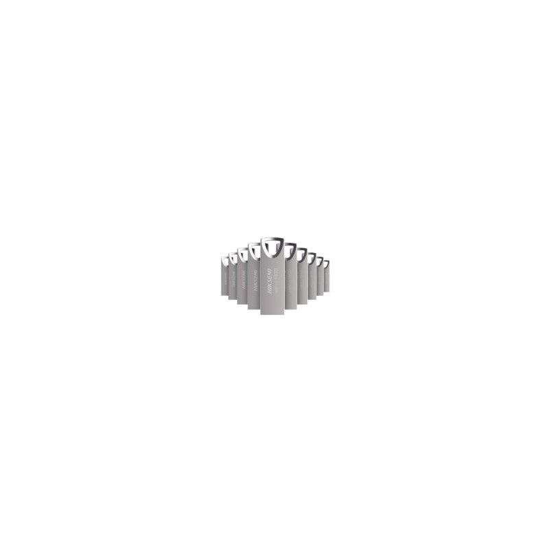 Memoria Hiksemi USB 16GB Metálica